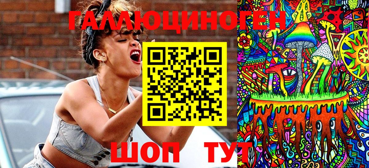 Псилоцибиновые грибы Psilocybe Ноябрьск