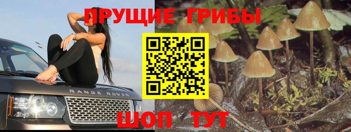 Ноябрьск  Псилоцибиновые грибы Magic Shrooms  Вход с VPN 